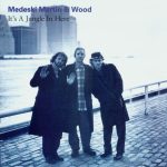 Medeski Martin & Wood – It’s a Jungle in Here